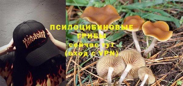 круглые Чекалин