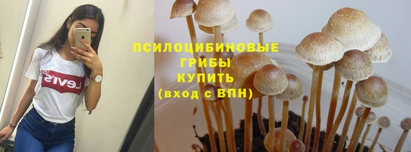 ALPHA PVP Пестово