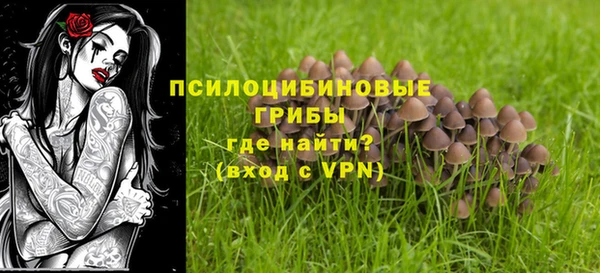 Альфа ПВП Усмань