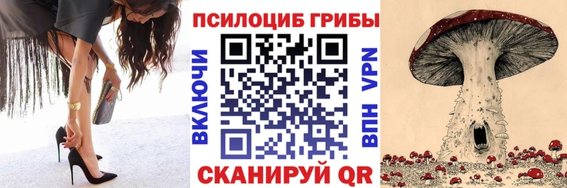 Галлюциногенные грибы GOLDEN TEACHER  где найти   Чулым 